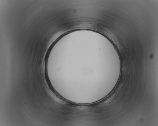 X0000094171082200711241525