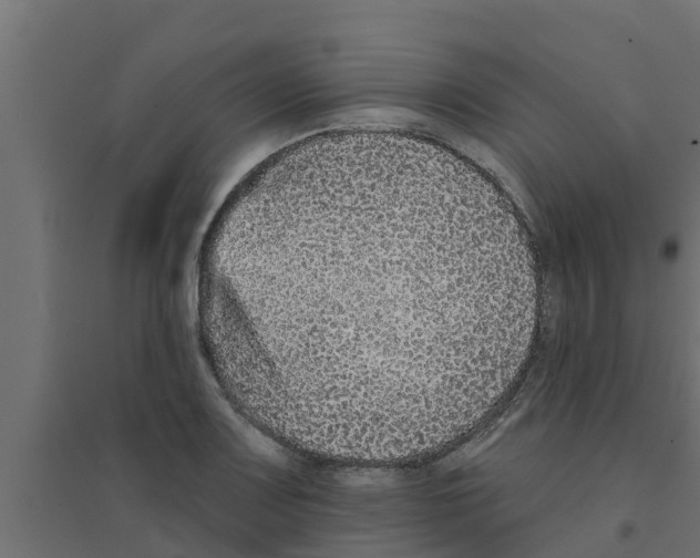 X0000094171083200711241525