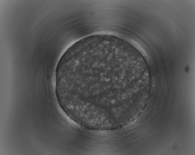 X0000094171084200711241525