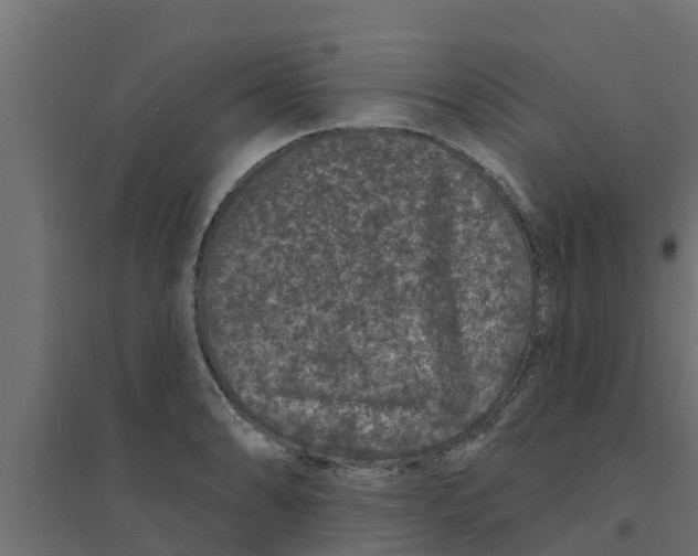 X0000094171086200711241525
