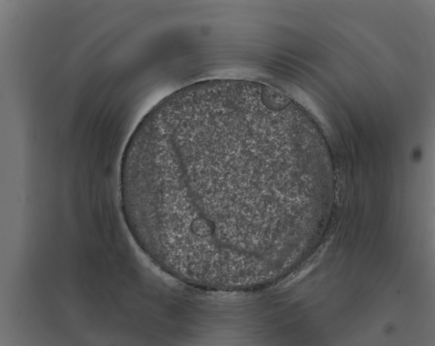 X0000094171087200711241525