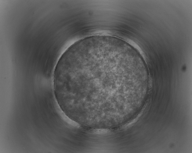 X0000094171090200711241525
