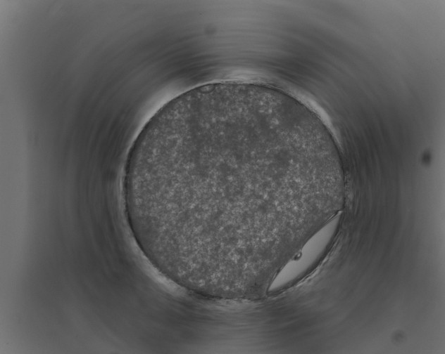 X0000094171091200711241525