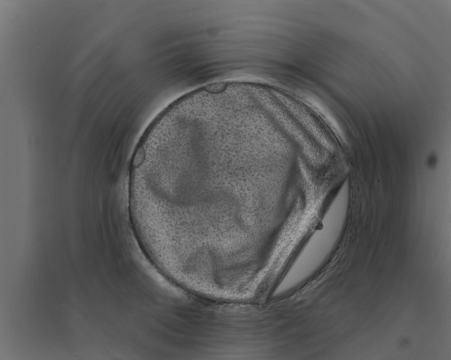 X0000094171092200711241525