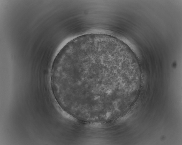 X0000094171094200711241525