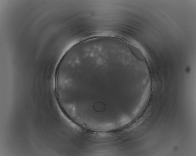 X0000094171095200711241525