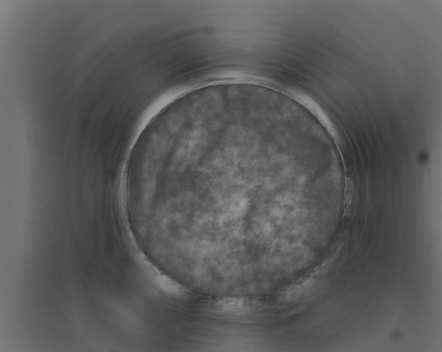 X0000094171098200711241525