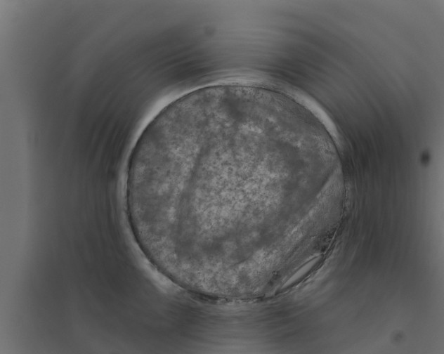 X0000094171099200711241525