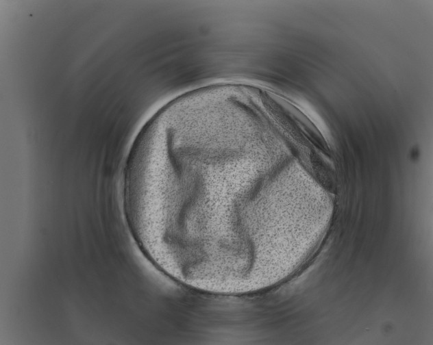 X0000094171100200711241525