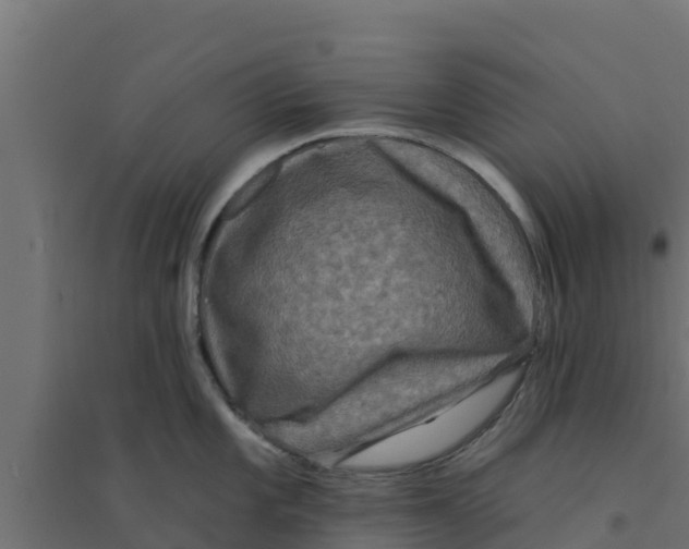 X0000094171101200711241525