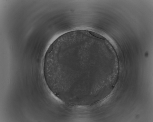 X0000094171102200711241525