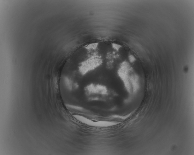 X0000094171106200711241524