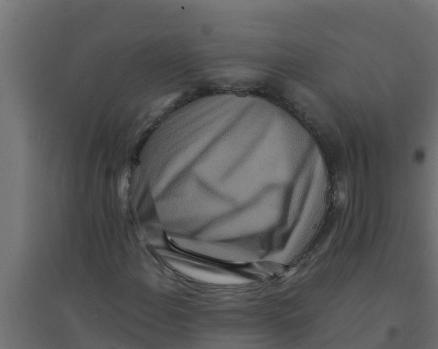 X0000094171108200711241524