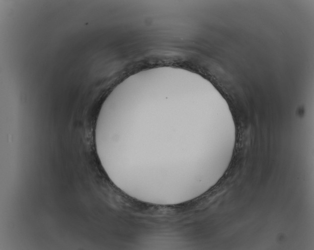X0000094171109200711241524