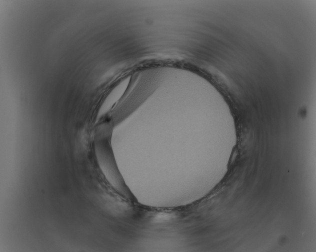 X0000094171110200711241524