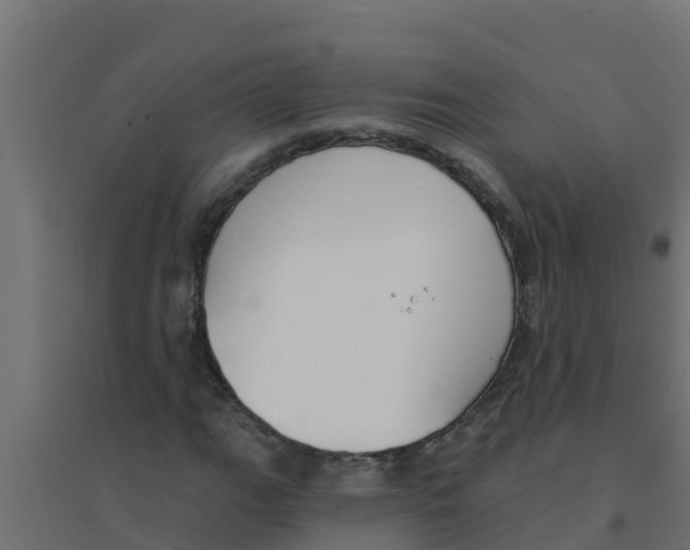 X0000094171111200711241524