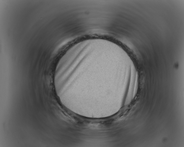 X0000094171112200711241524