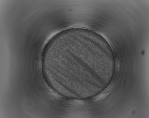 X0000094171115200711241524