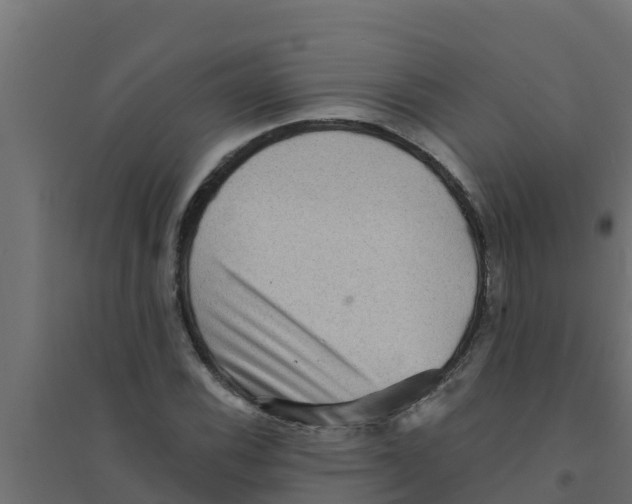 X0000094171116200711241524