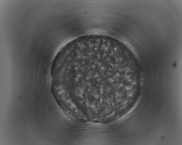 X0000094171117200711241524