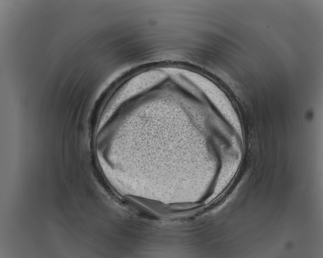 X0000094171118200711241524