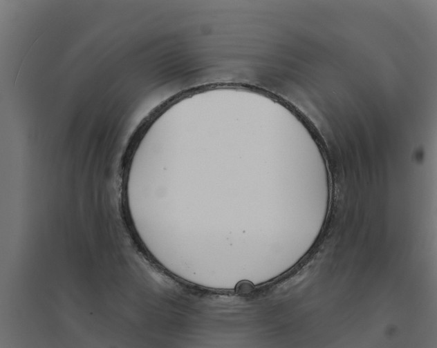 X0000094171119200711241524