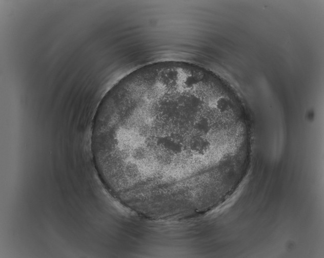 X0000094171121200711241524