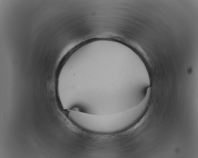 X0000094171122200711241524