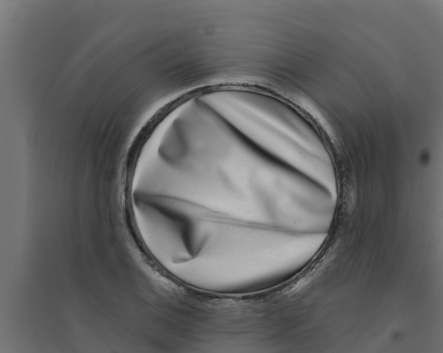X0000094171124200711241524