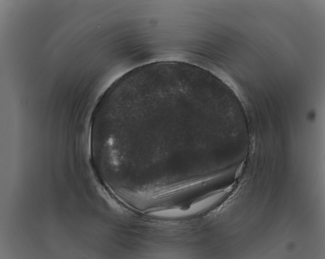 X0000094171127200711241524
