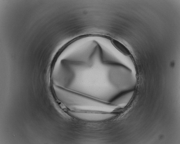 X0000094171128200711241524