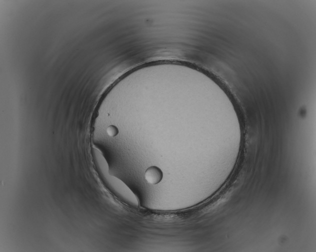 X0000094171129200711241524