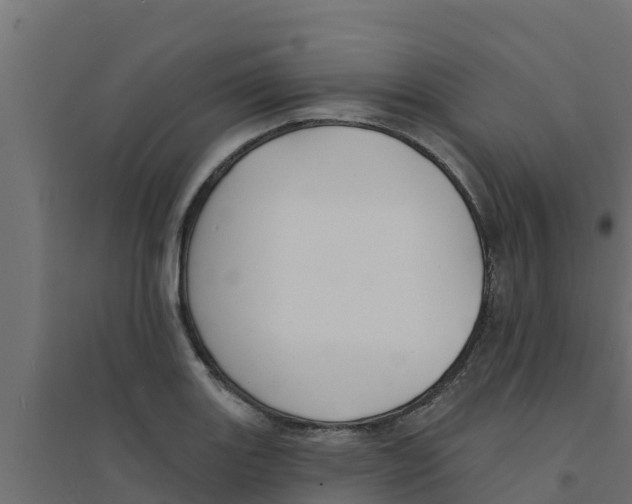 X0000094171131200711241524
