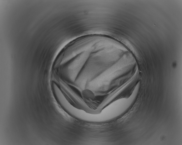 X0000094171132200711241524