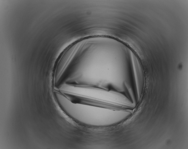 X0000094171134200711241524