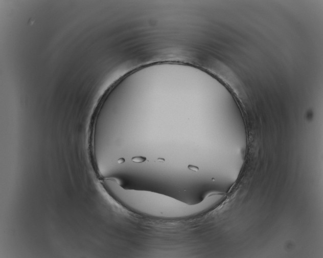 X0000094171135200711241524