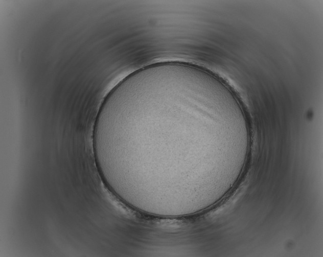 X0000094171137200711241524