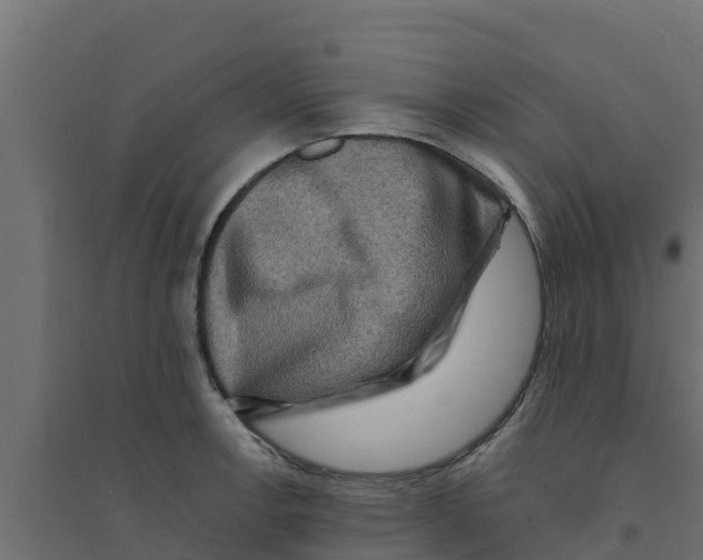 X0000094171138200711241524