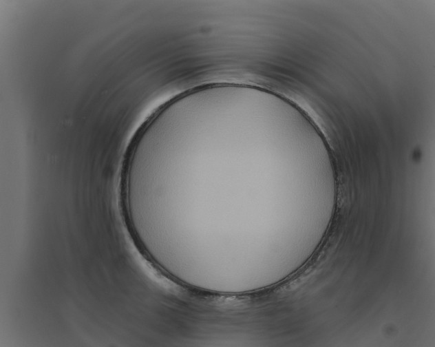 X0000094171139200711241524