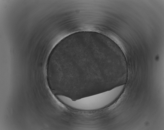 X0000094171141200711241524