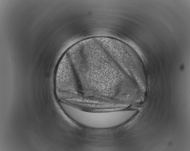 X0000094171142200711241524