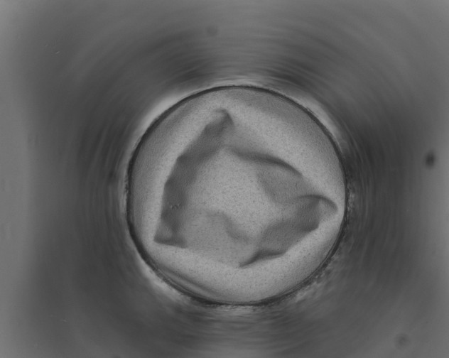 X0000094171143200711241524