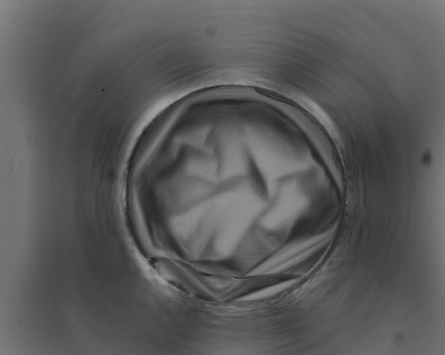 X0000094171144200711241524