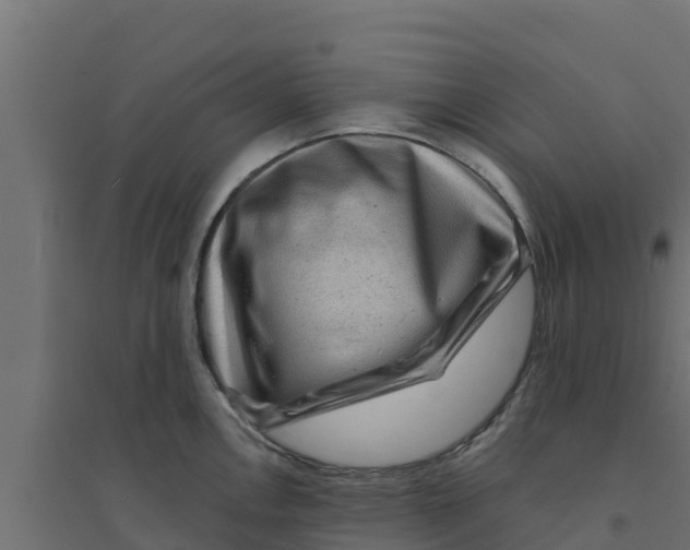 X0000094171146200711241524