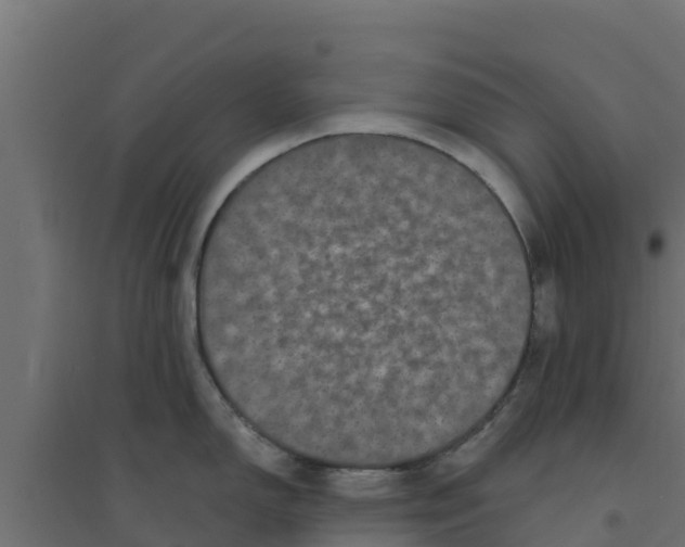 X0000094171150200711241525