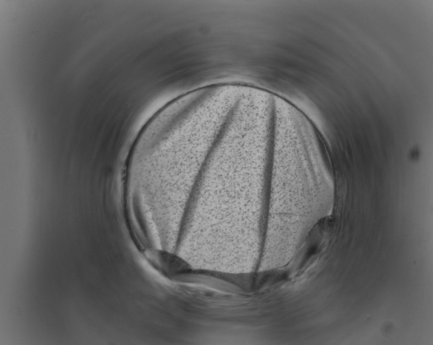 X0000094171151200711241525