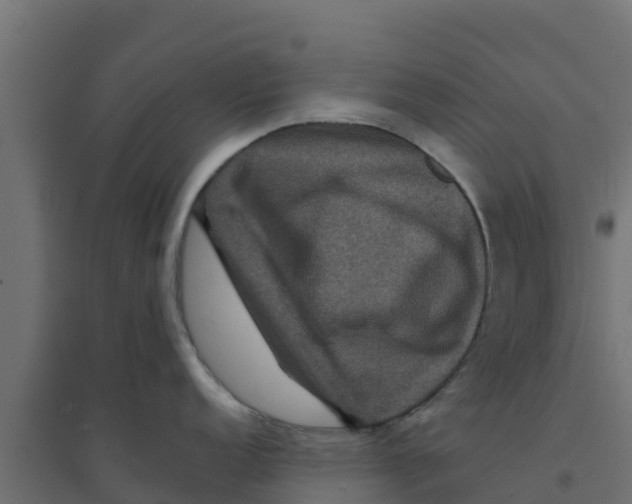X0000094171152200711241525