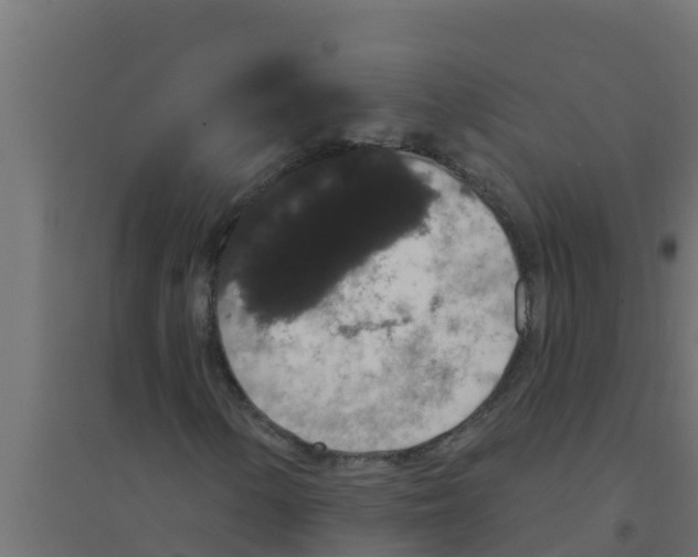 X0000094171154200711241524