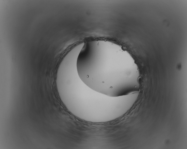X0000094171157200711241524