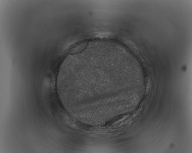 X0000094171158200711241524